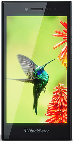 Blackberry Leap