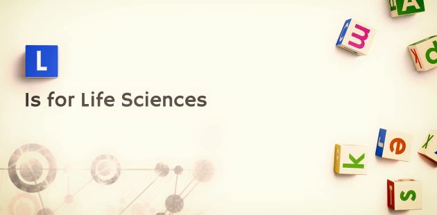 Life Sciences: Le lenti a contatto Smart di Google promosse a Startup Life Sciences: Le lenti a contatto Smart di Google promosse a Startup