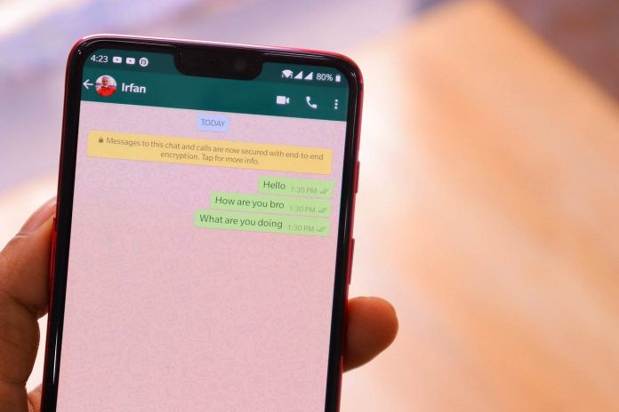 Whatsapp whatsapp esselunga