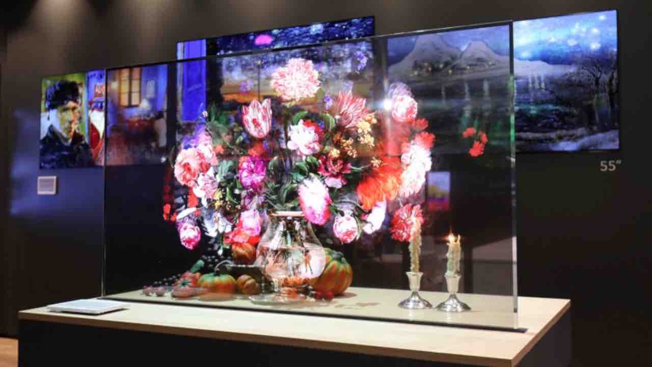 lg oled trasparenti