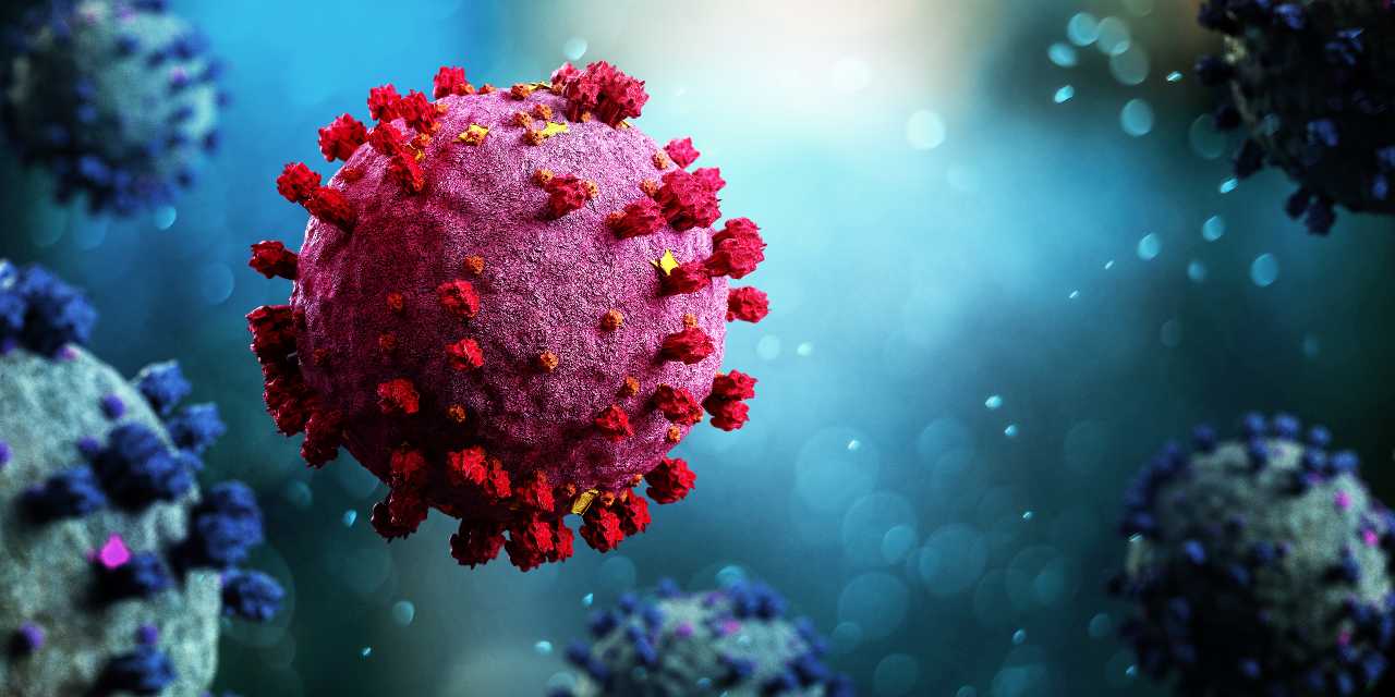 Coronavirus (Adobe Stock)