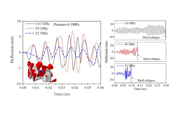 Ultrasuoni Covid Danni del virus alle diverse frequenze