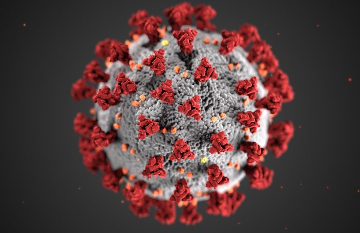 Covid, un microchip per la diagnosi precoce del contagio (image by CDC from pexels.com)