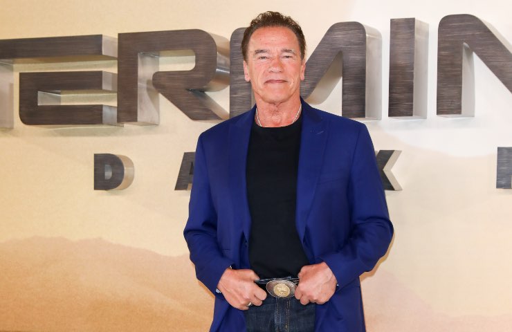 Schwarzenegger Netflix