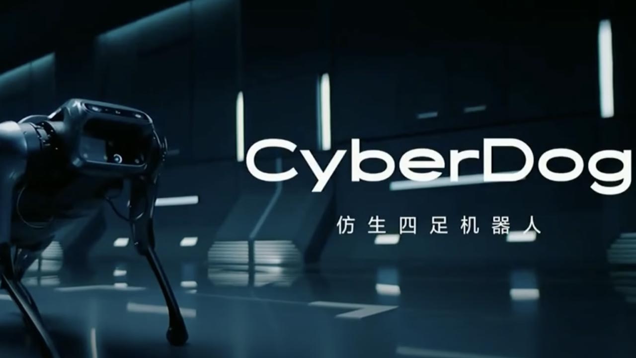 Xiaomi CyberDog cane robot