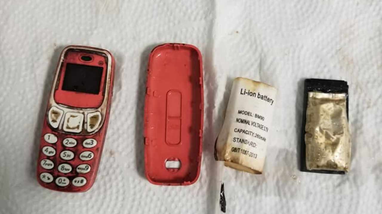 nokia 3310 pancia