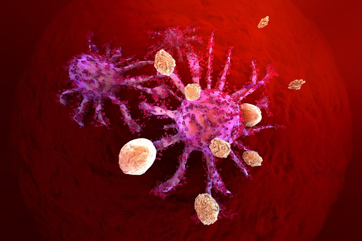 Linfociti T attaccano cellule tumorali, render (Adobe Stock)
