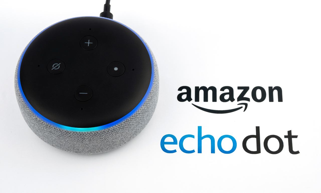 Echo Dot 20220126 cell