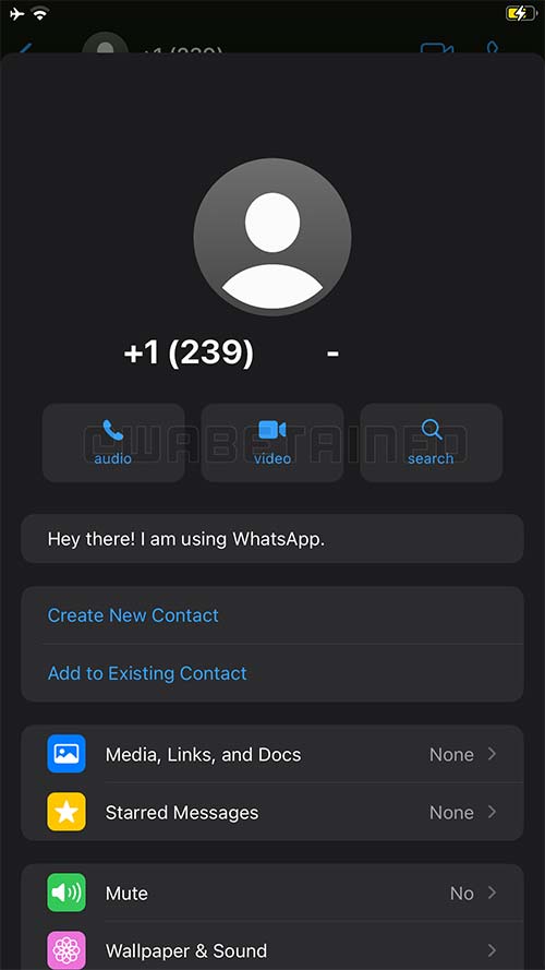 WhatsApp per iOS novità contatti
