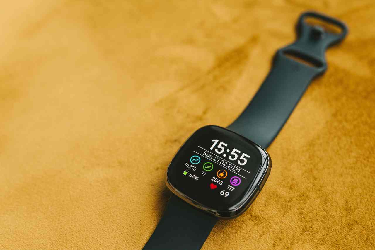 Fitbit smartwatch 20220412 cell