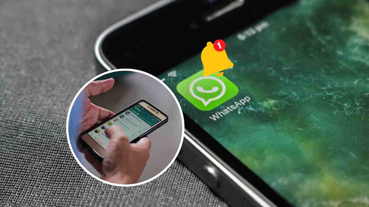 Notifiche su Whatsapp (Canva)