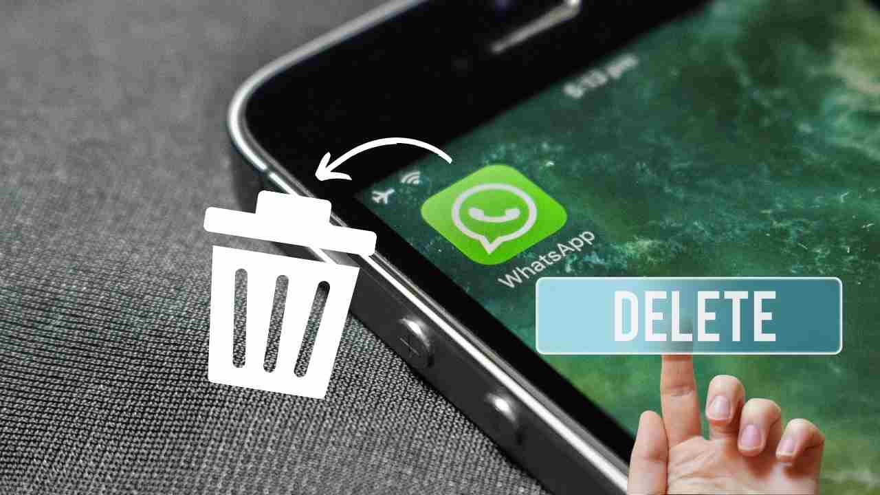 whatsapp 20221015 cellulari.it