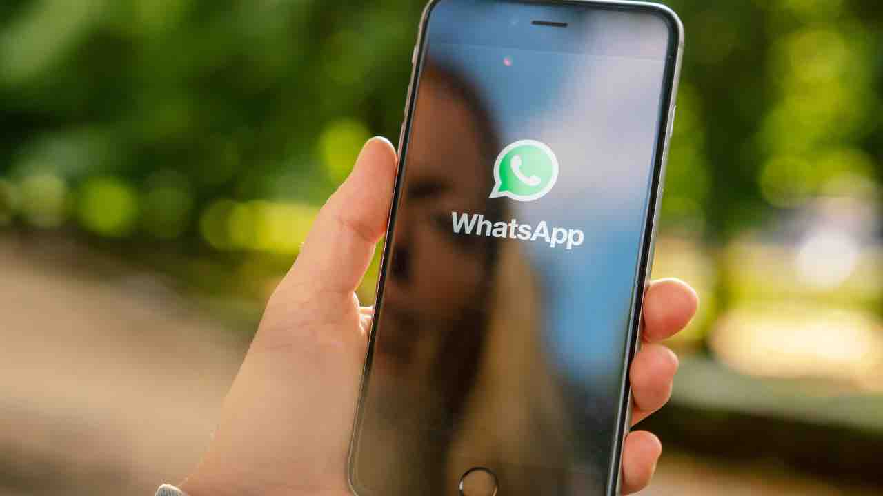 whatsapp backup 20221016 cellulari.it