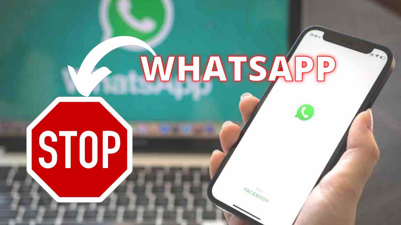 Whatsapp (Adobe Stock)