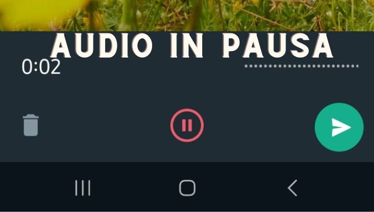 WhatsApp ti permette di mettere in pausa una registrazione audio