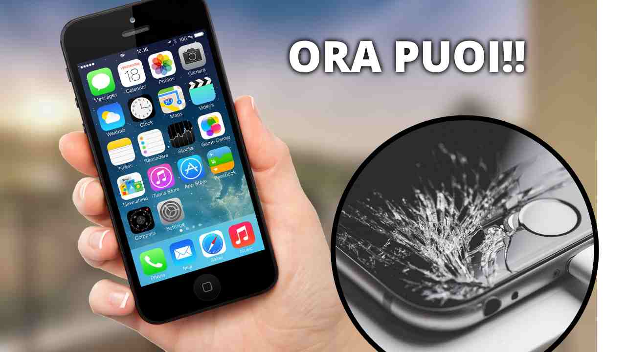 iPhone (Foto Canva)