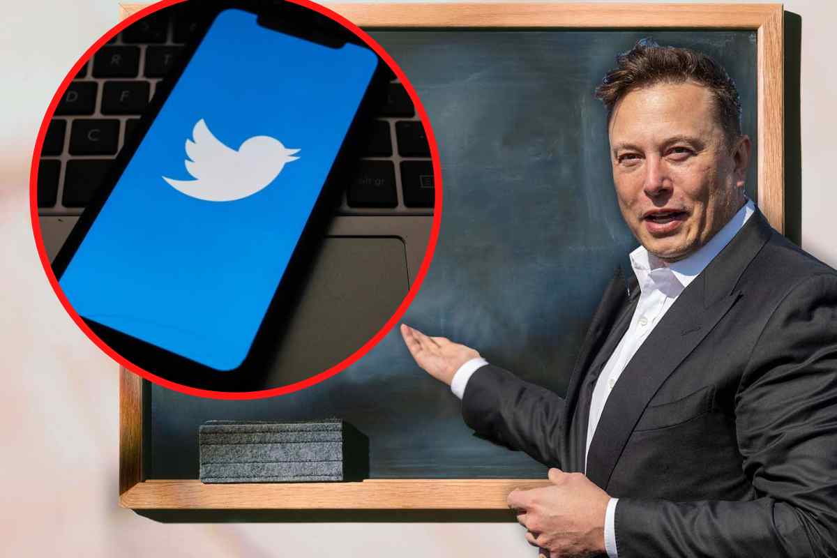 twitter elon musk