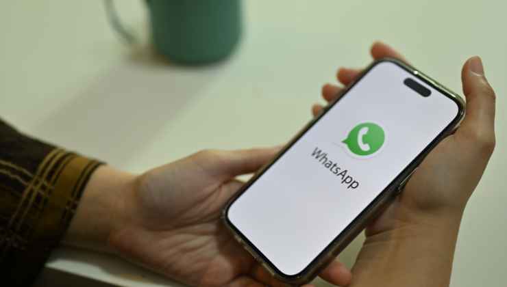 Whatsapp come fare te lo dice l'app