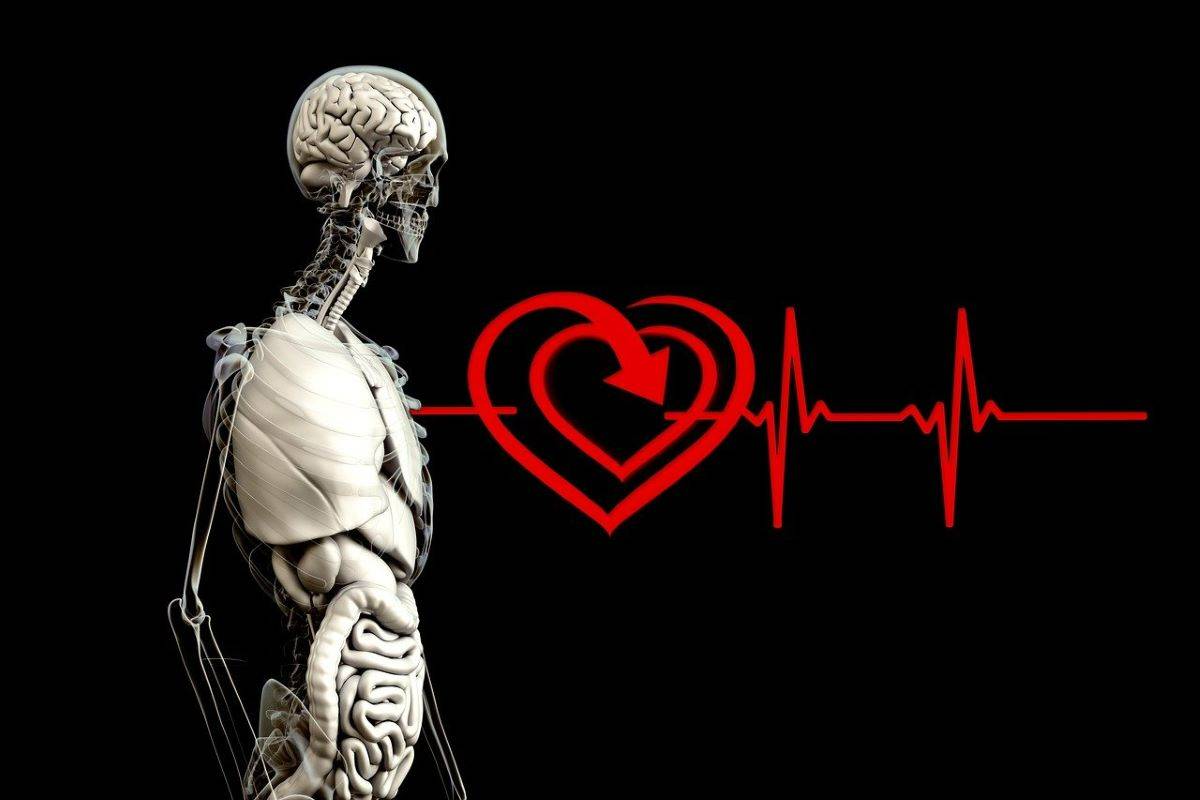 salute cuore legata cervello rischiuo malattie