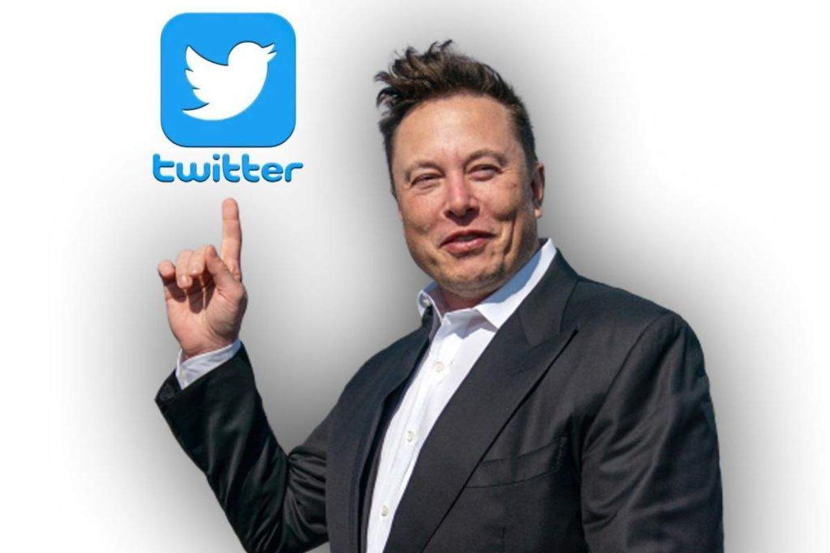 Elon Musk decisione Twitter