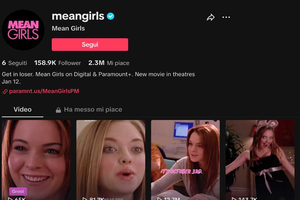 Meangirls postato su Tik Tok