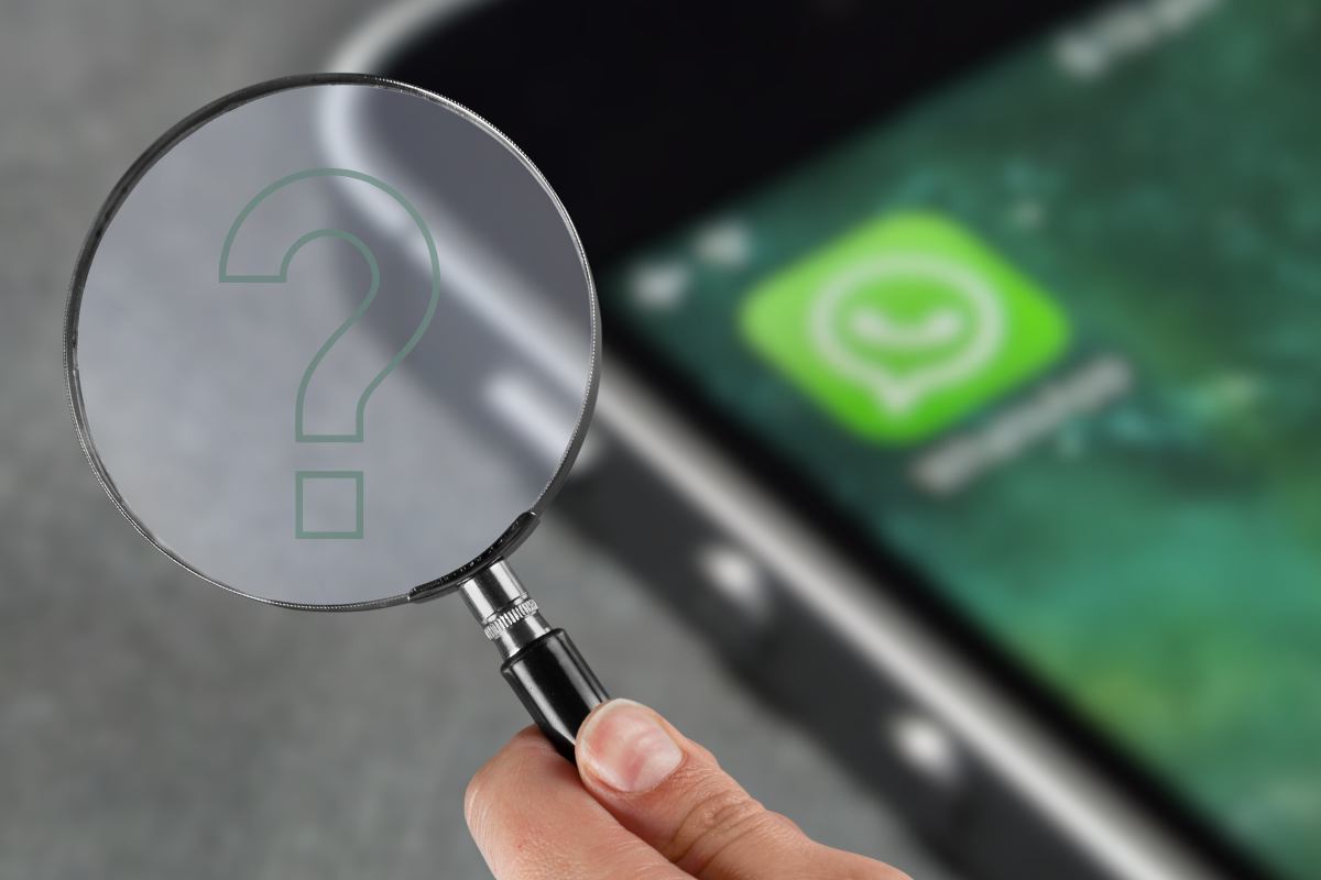 WhatsApp Revolution: I discovered the trick to knowing who is spying on you every day