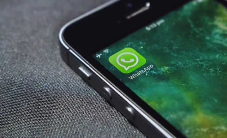 whatsapp 