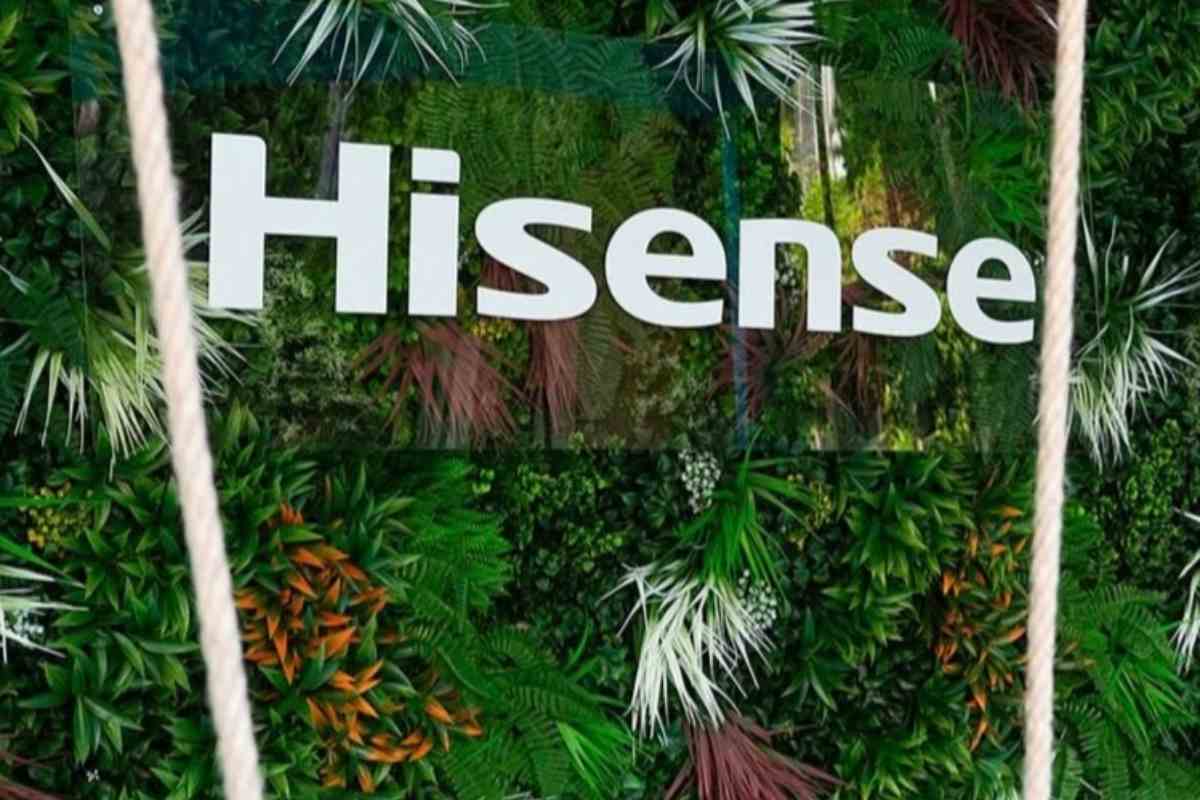 Rivincita Hisense OLED