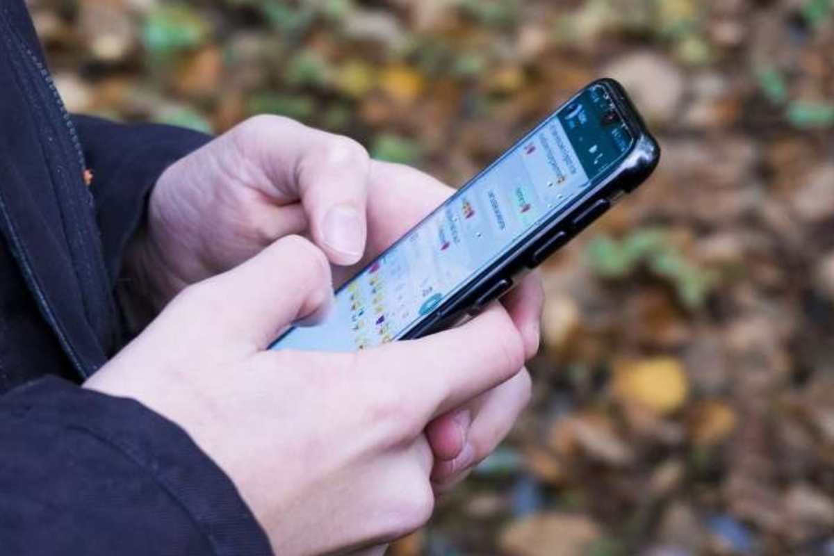 Chat WhatsApp 
