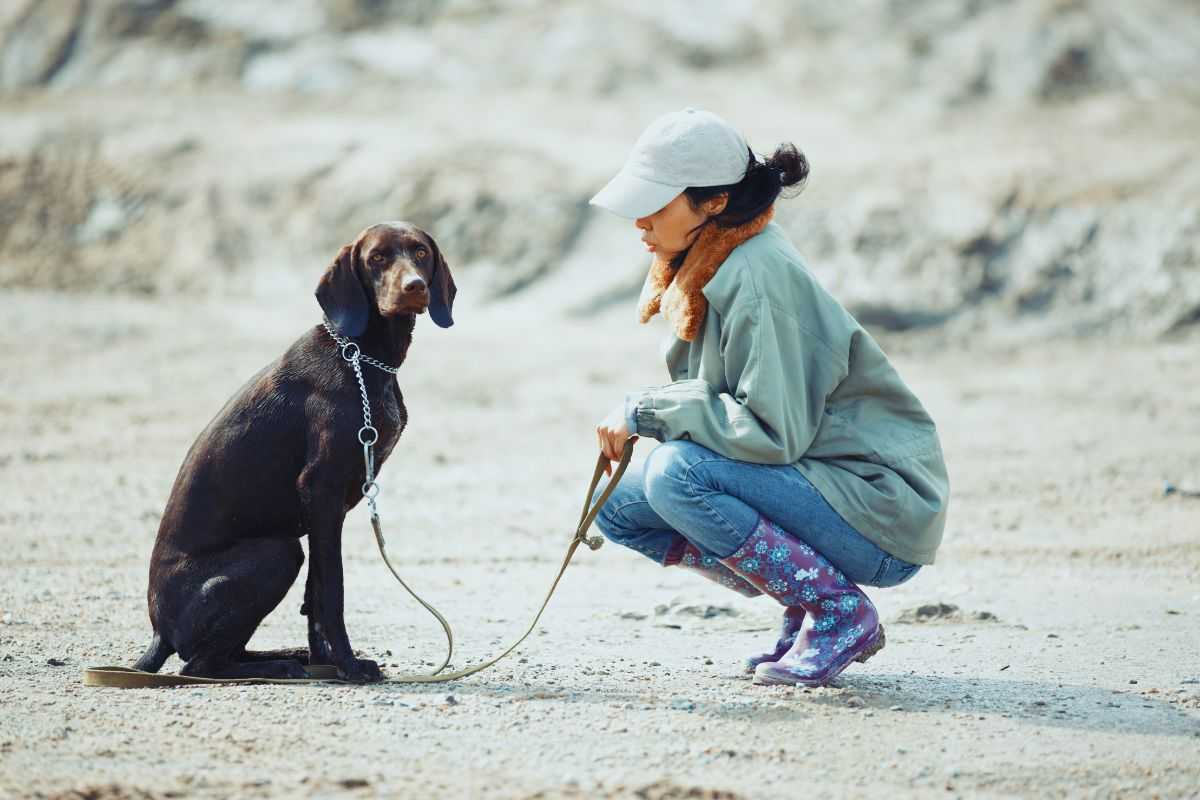 Ragazza che insegna il comando "seduto" al suo cane