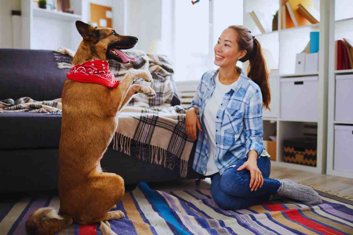 Cane su due zampe e padrona divertita
