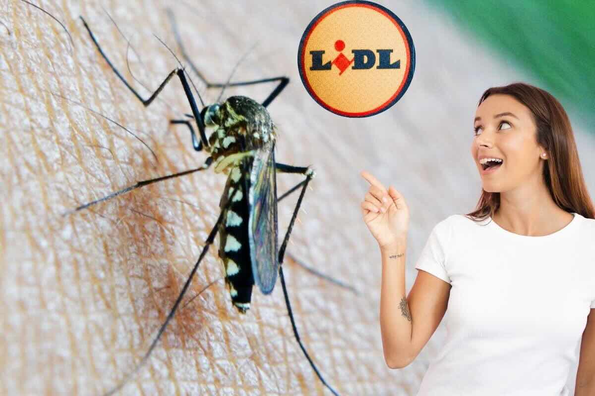 Zanzara, donna che indica sorridente, logo LIDL