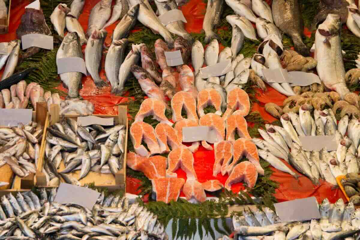 Banco del pesce con varie specie
