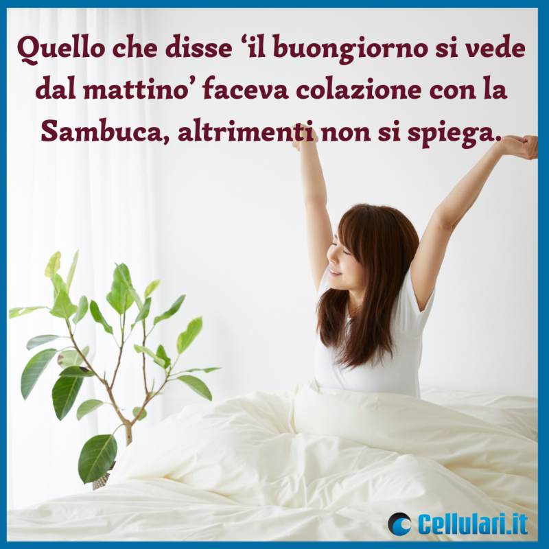 Frase sul buongiorno da inviare su WhatsApp