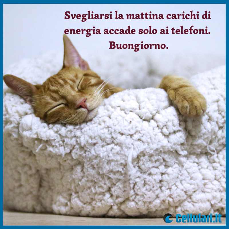 Frase sul buongiorno da inviare su WhatsApp