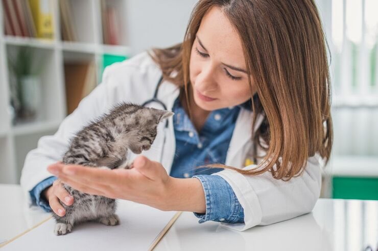 Veterinaria con gattino