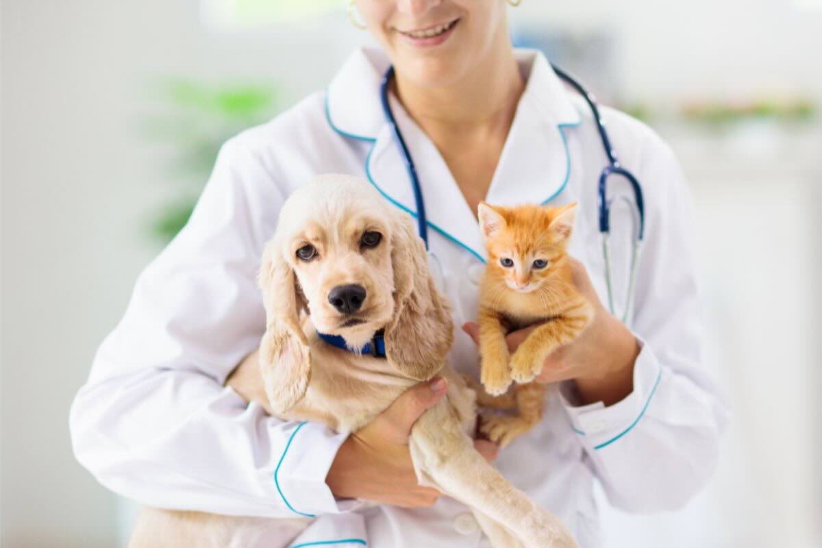 Veterinaria con camice e cane e gatto in braccio