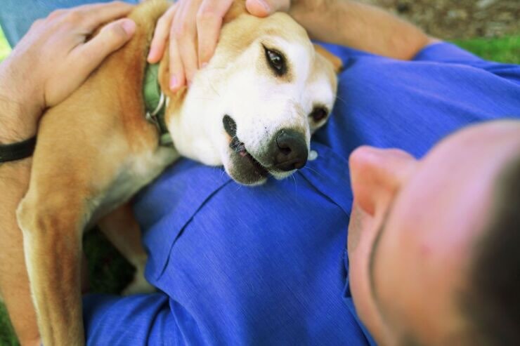 Cane sdraiato sul torace dell'uomo