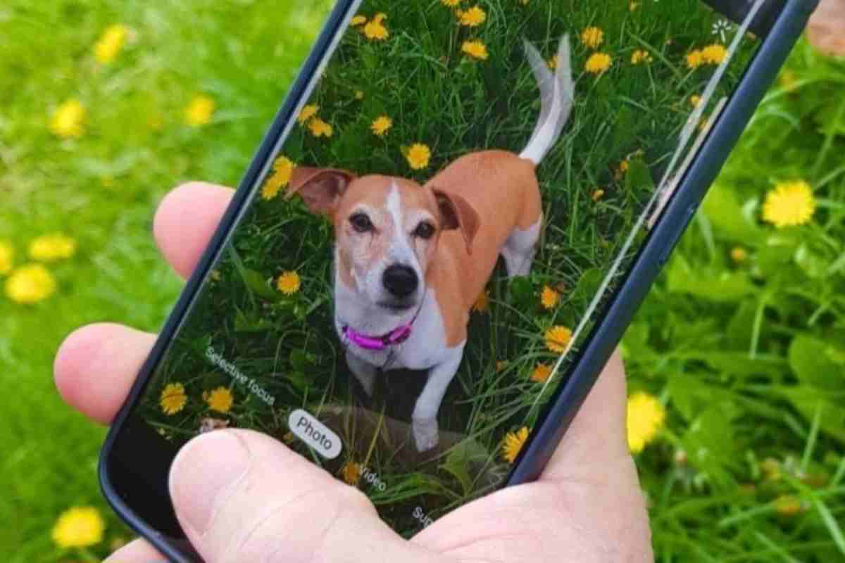 Funzione fotocamera distruggere telefono