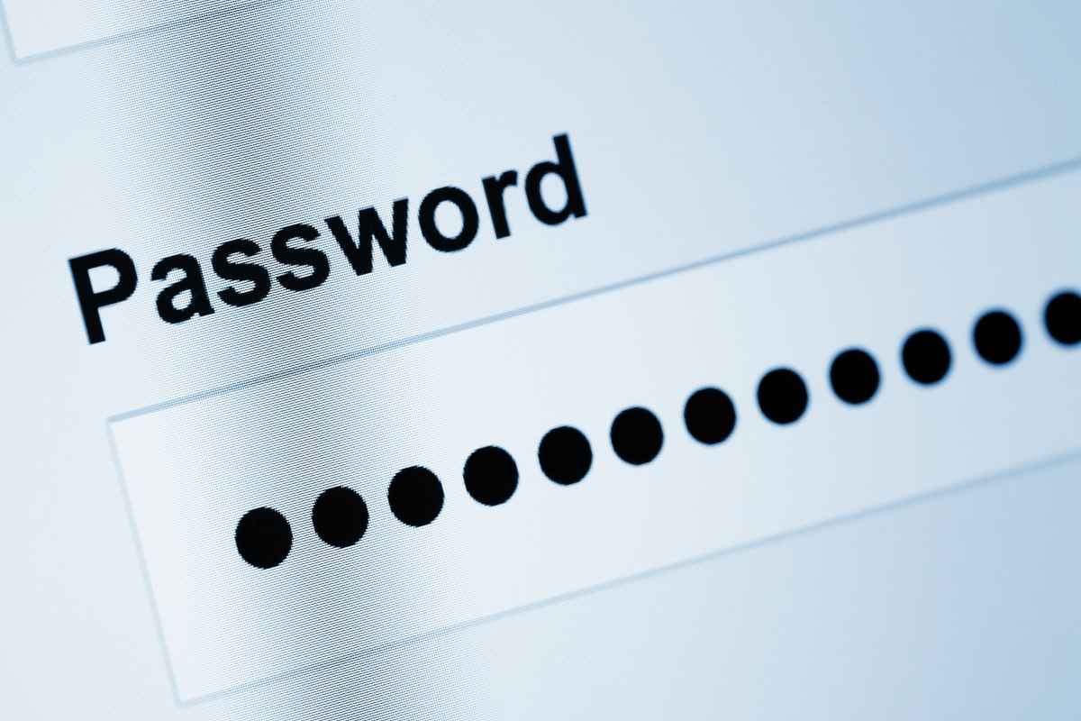campo password