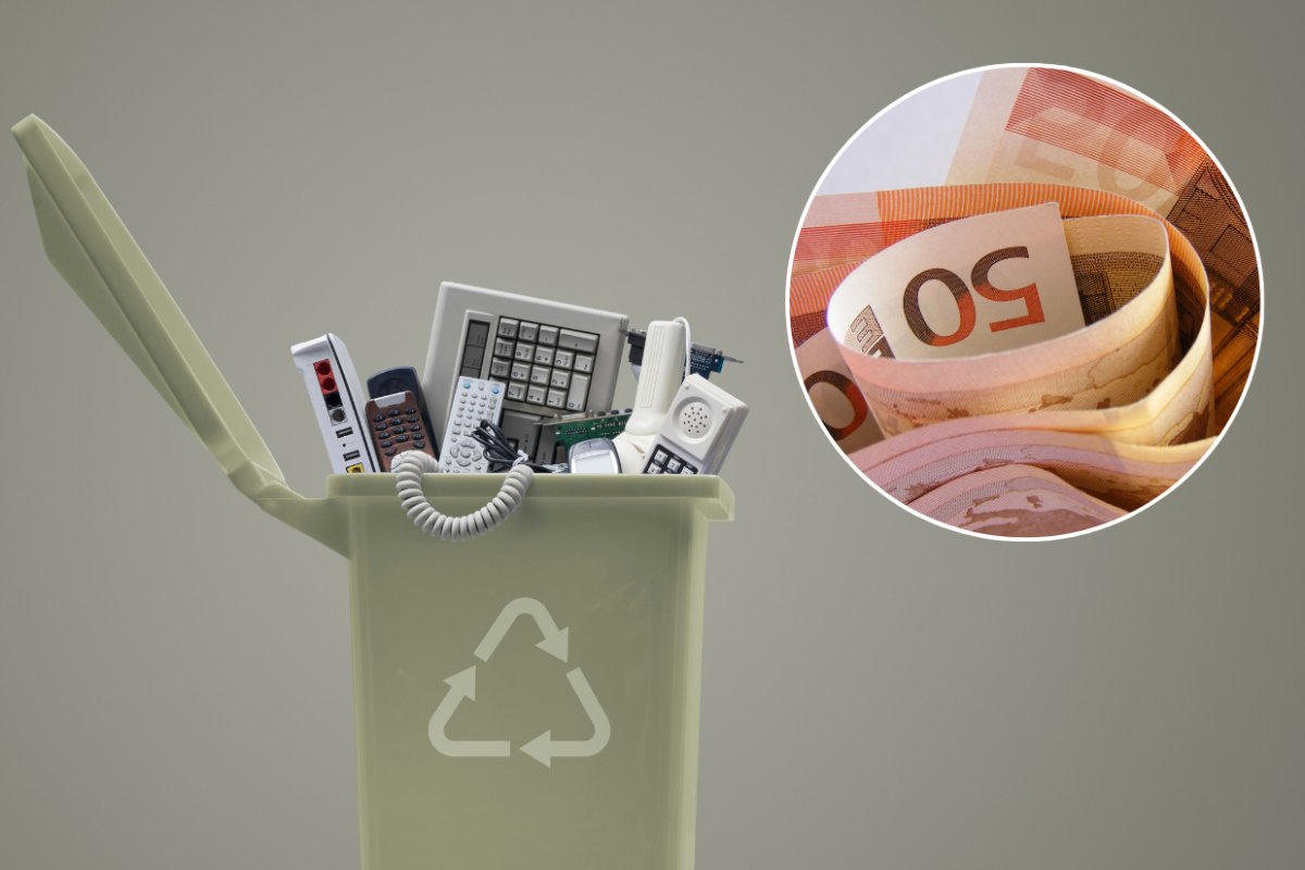cestino rifiuti e banconote da 50 euro