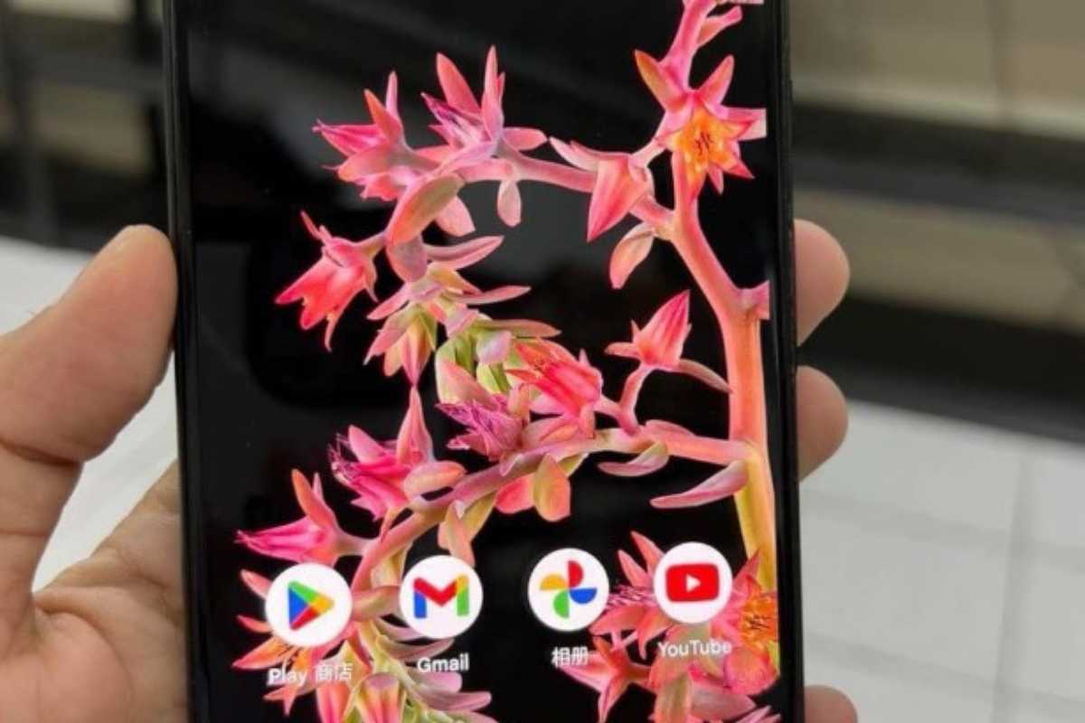 Pixel 6