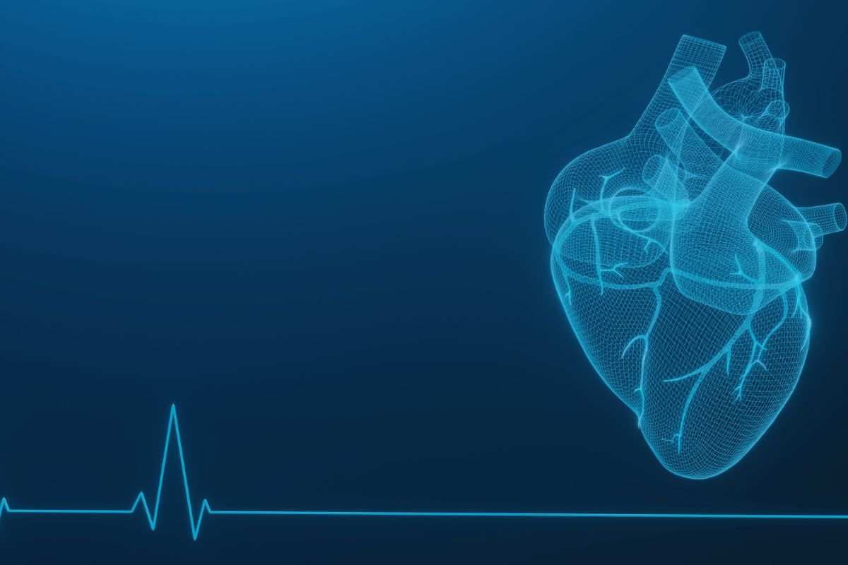 Frequenza cardiaca e disegno digitale di un cuore
