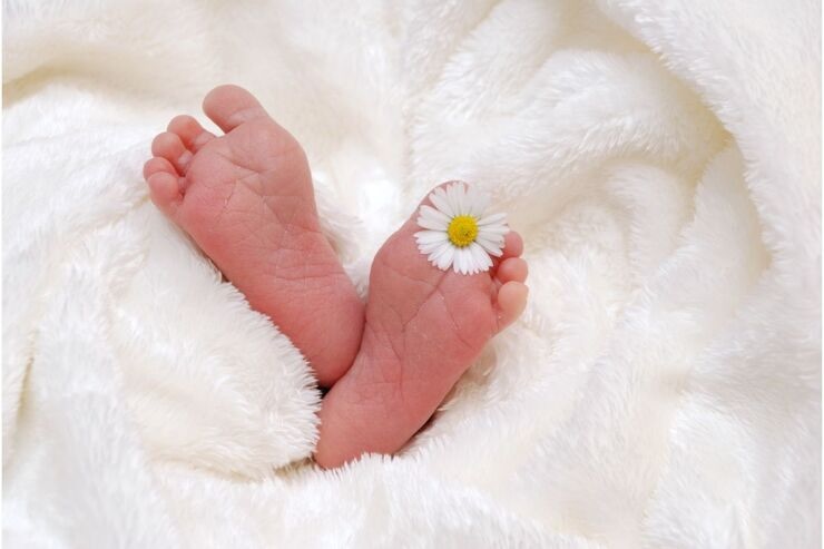 Piedini neonato, margherita