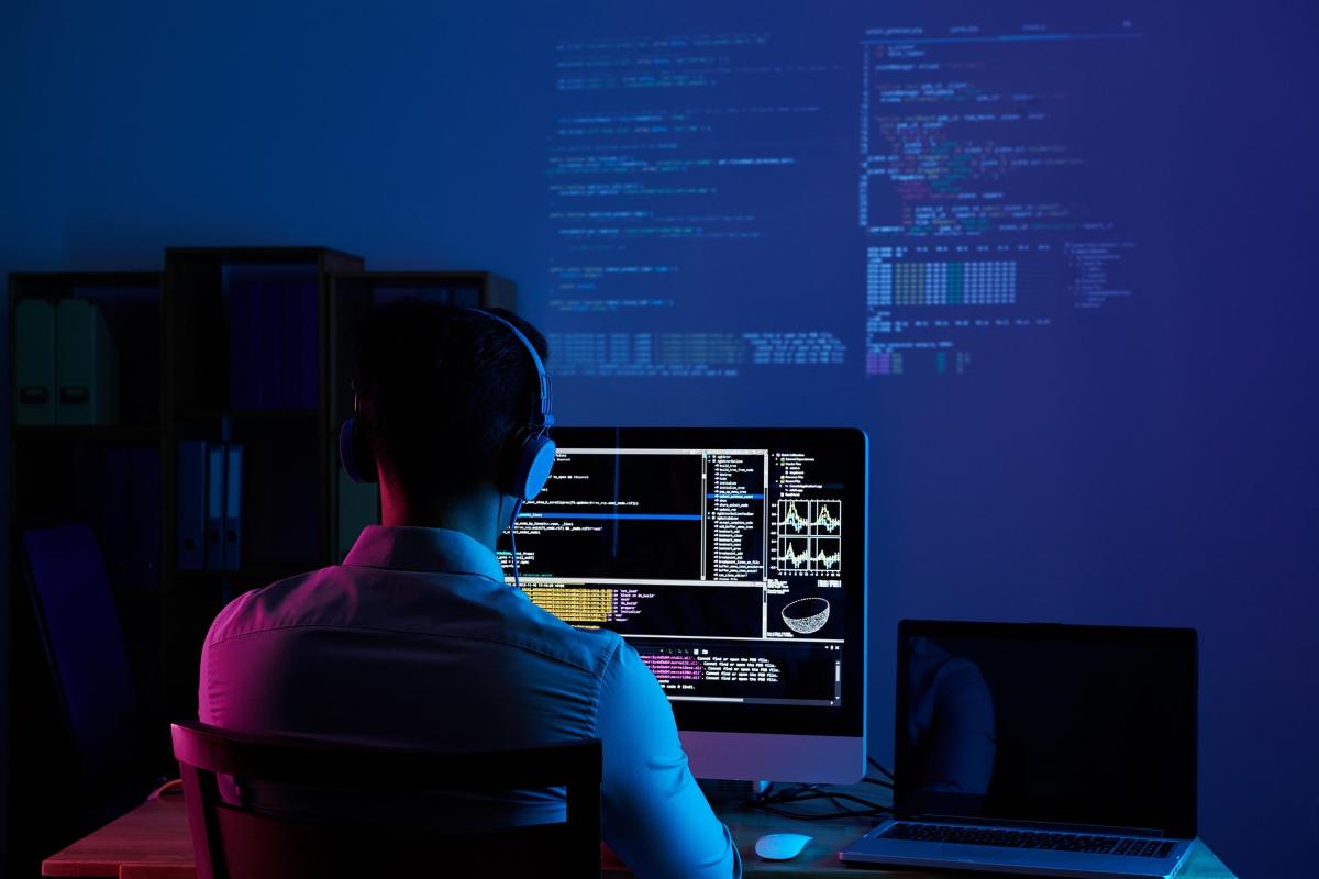 Persona di spalle al computer