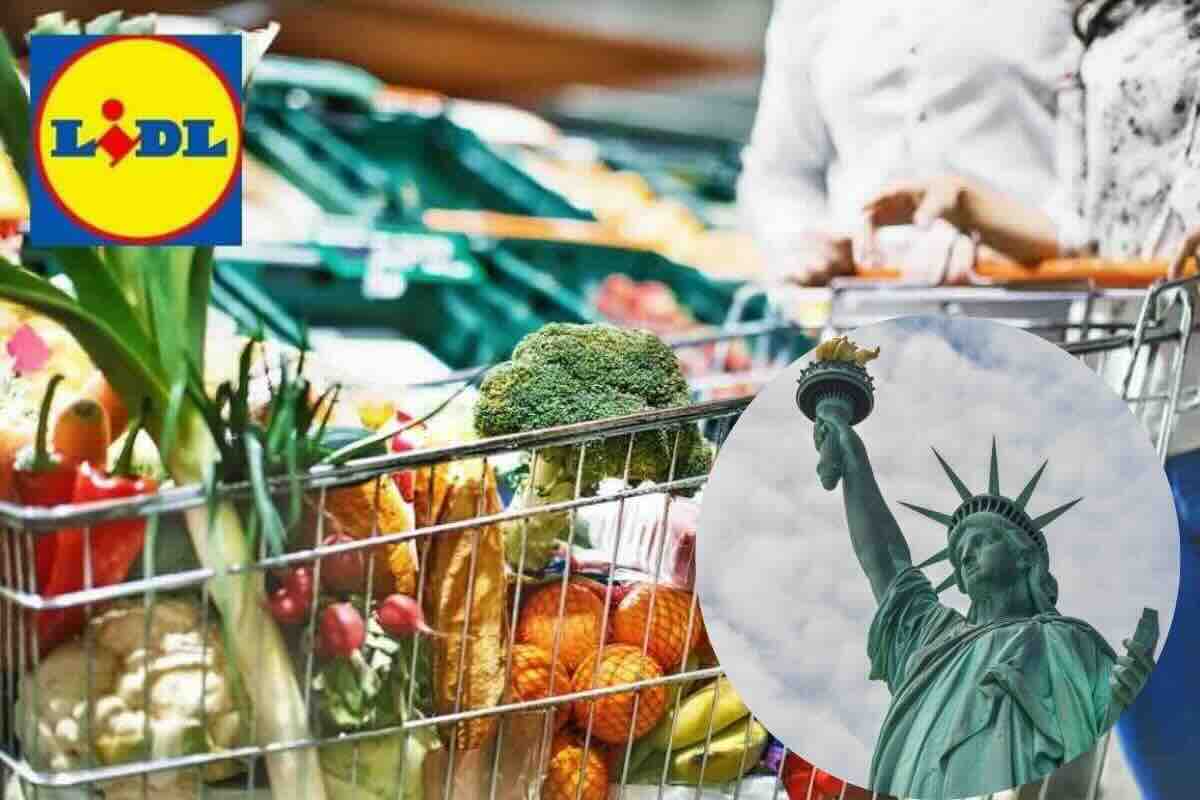 Carrello spesa, logo Lidl, statua della libertà