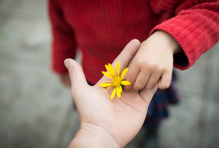 mando di adulto e bambino