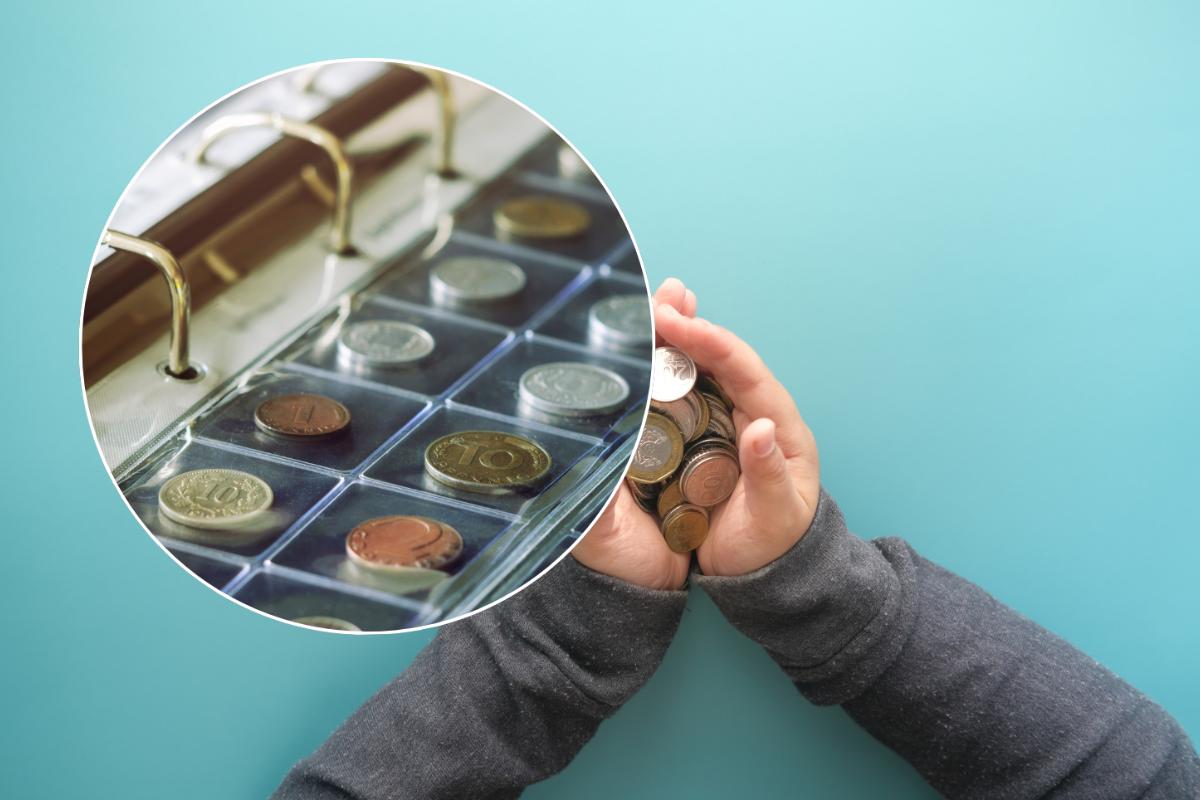 monete in mano e raccoglitore