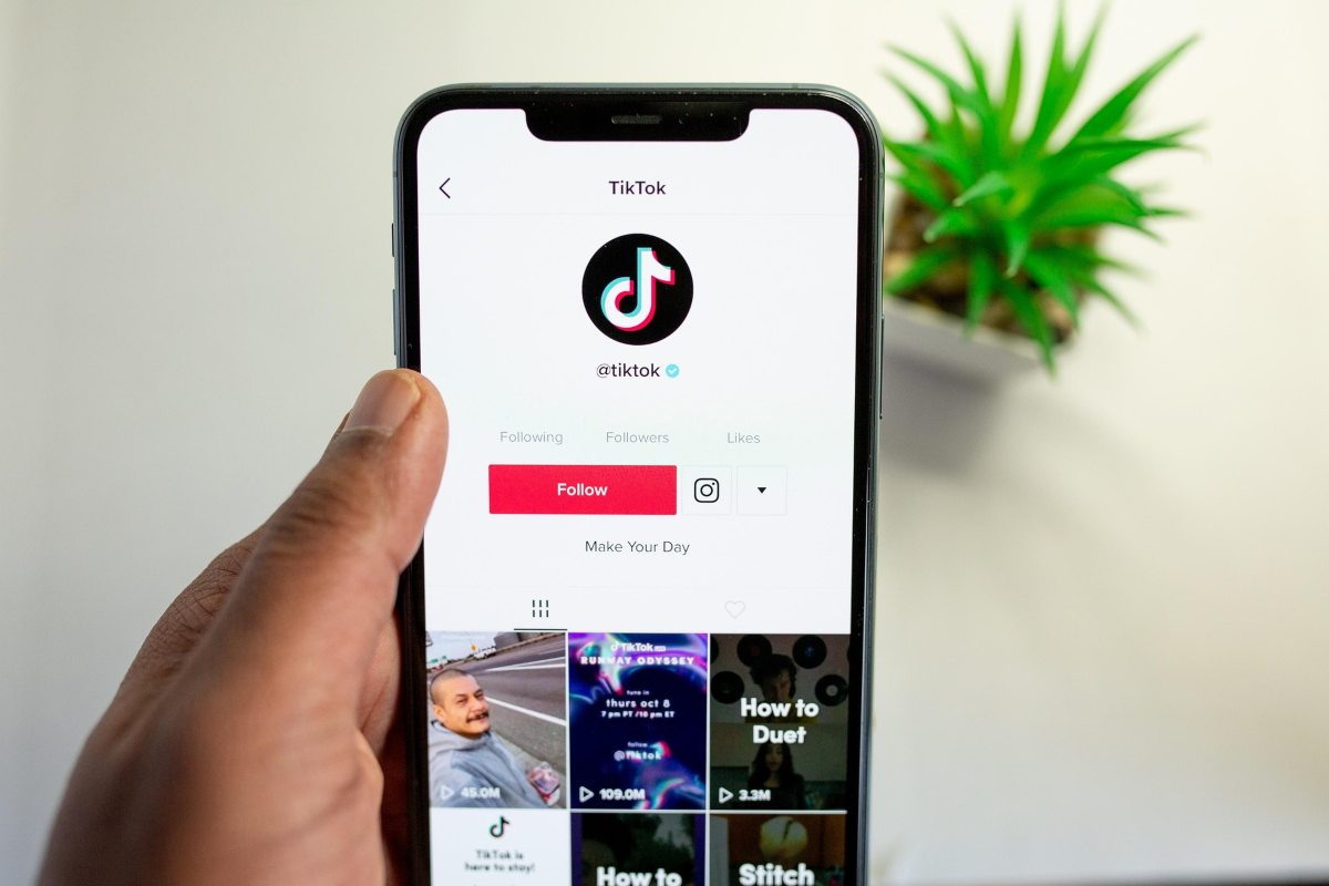 TikTok su smartphone